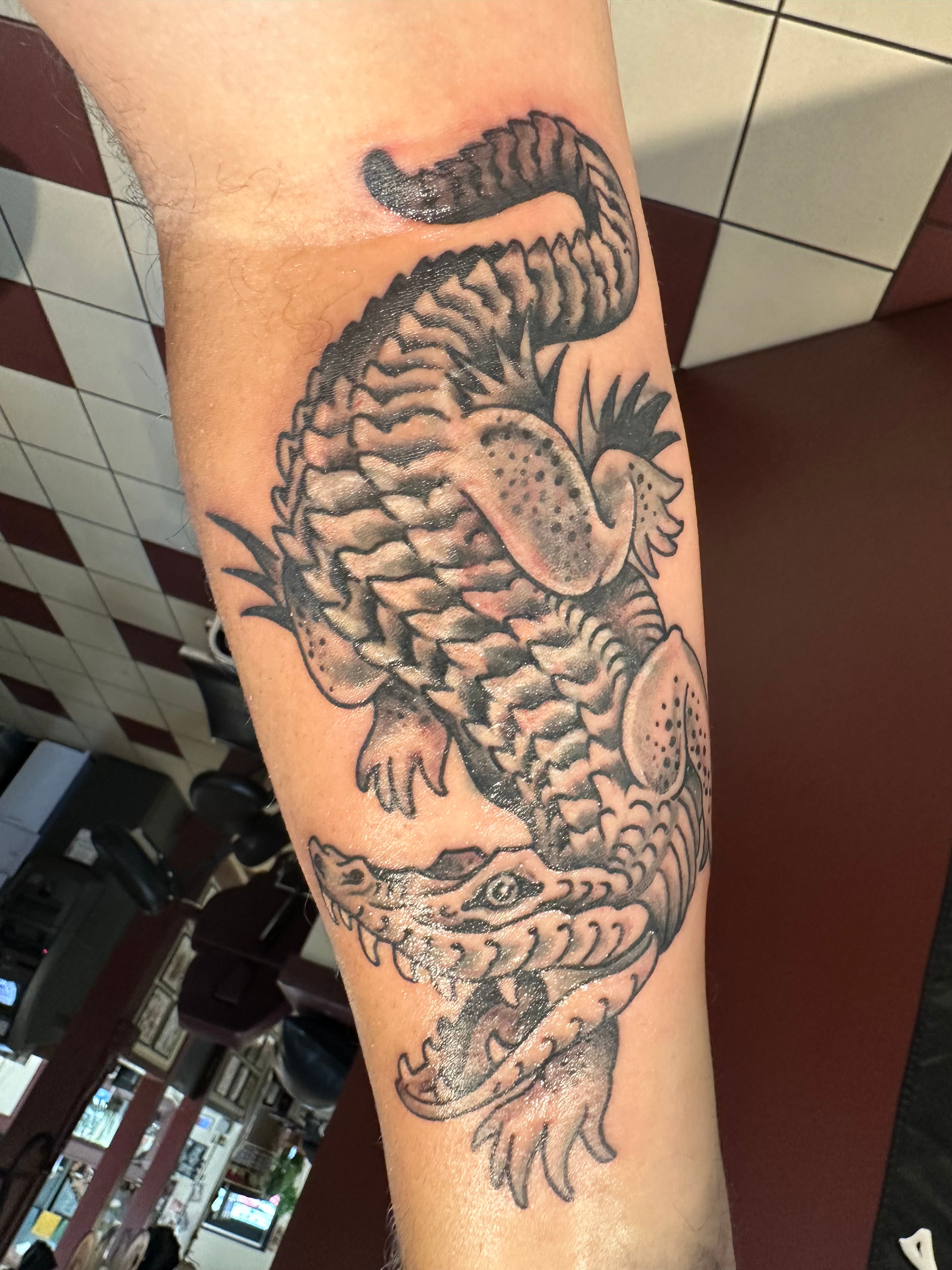 Alligator Tattoo on Right Forearm by Moses Saarni